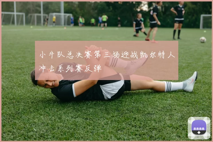 小牛队总决赛第三场迎战凯尔特人冲击系列赛反弹