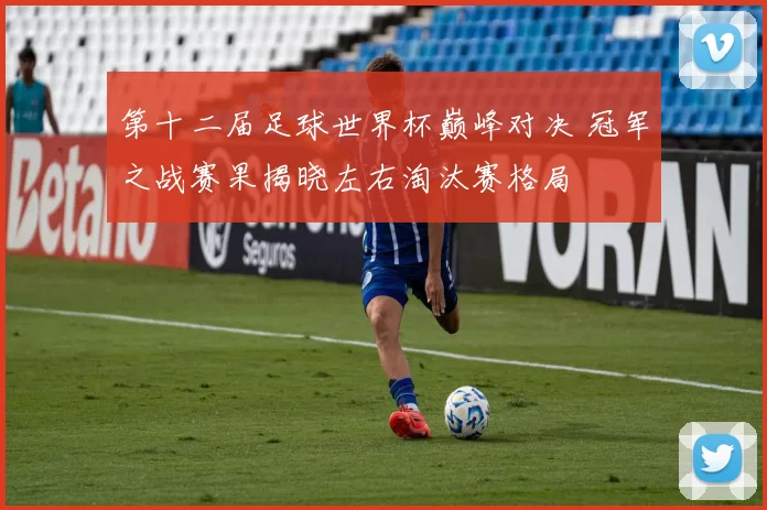 第十二届足球世界杯巅峰对决 冠军之战赛果揭晓左右淘汰赛格局