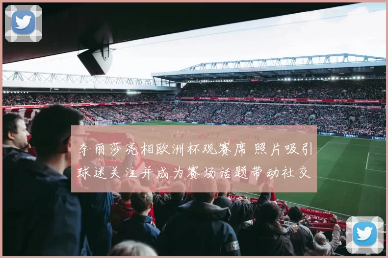 李丽莎亮相欧洲杯观赛席 照片吸引球迷关注并成为赛场话题带动社交讨论