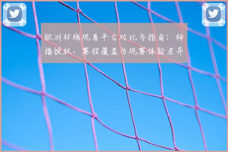 欧洲杯线观看平台对比与指南：转播授权、赛程覆盖与观赛体验差异