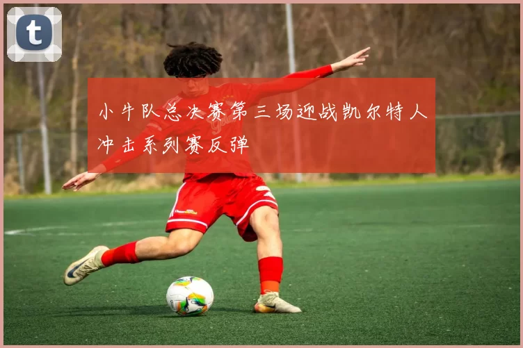 小牛队总决赛第三场迎战凯尔特人冲击系列赛反弹