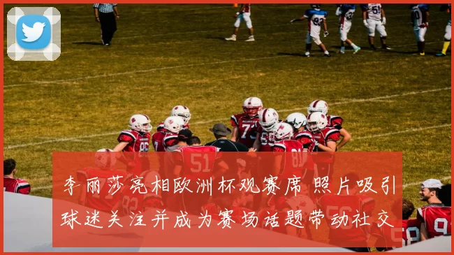 李丽莎亮相欧洲杯观赛席 照片吸引球迷关注并成为赛场话题带动社交讨论