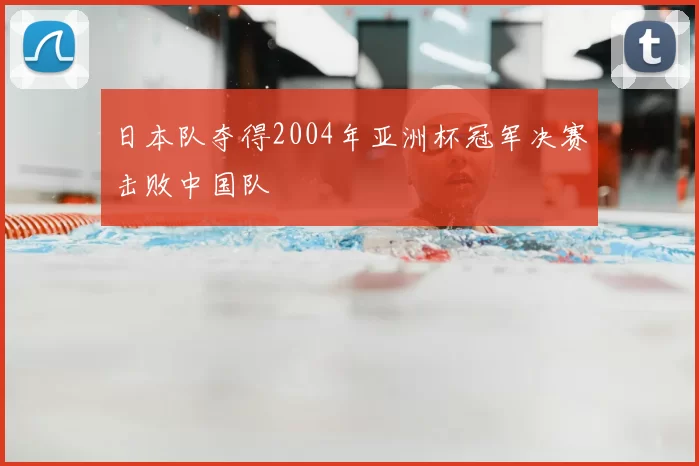日本队夺得2004年亚洲杯冠军决赛击败中国队
