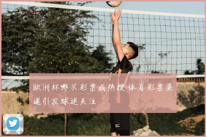 欧洲杯哪买彩票成热搜 体育彩票渠道引发球迷关注