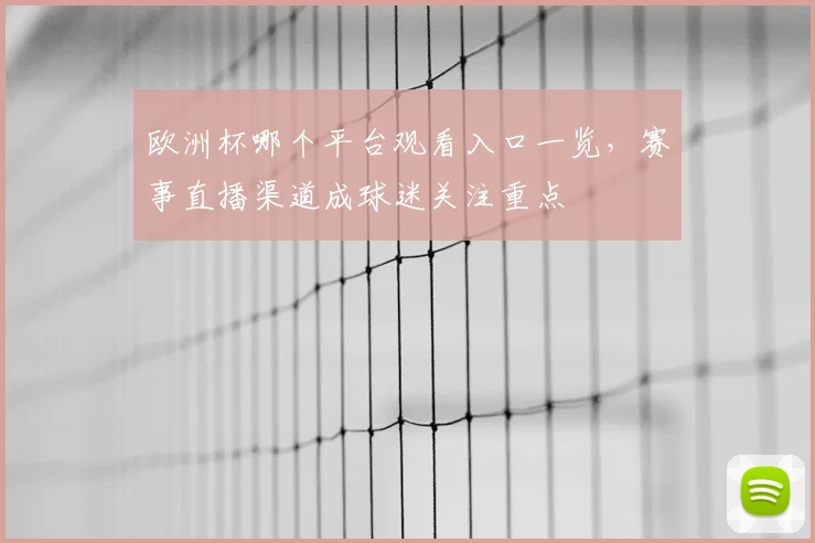 欧洲杯哪个平台观看入口一览，赛事直播渠道成球迷关注重点