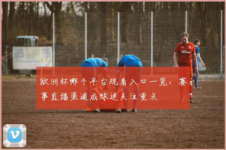 欧洲杯哪个平台观看入口一览,赛事直播渠道成球迷关注重点
