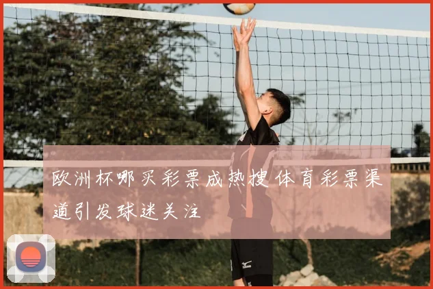 欧洲杯哪买彩票成热搜 体育彩票渠道引发球迷关注