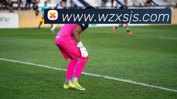 熊猫体育(中国)官方网站 - 登录入口APP 封面图